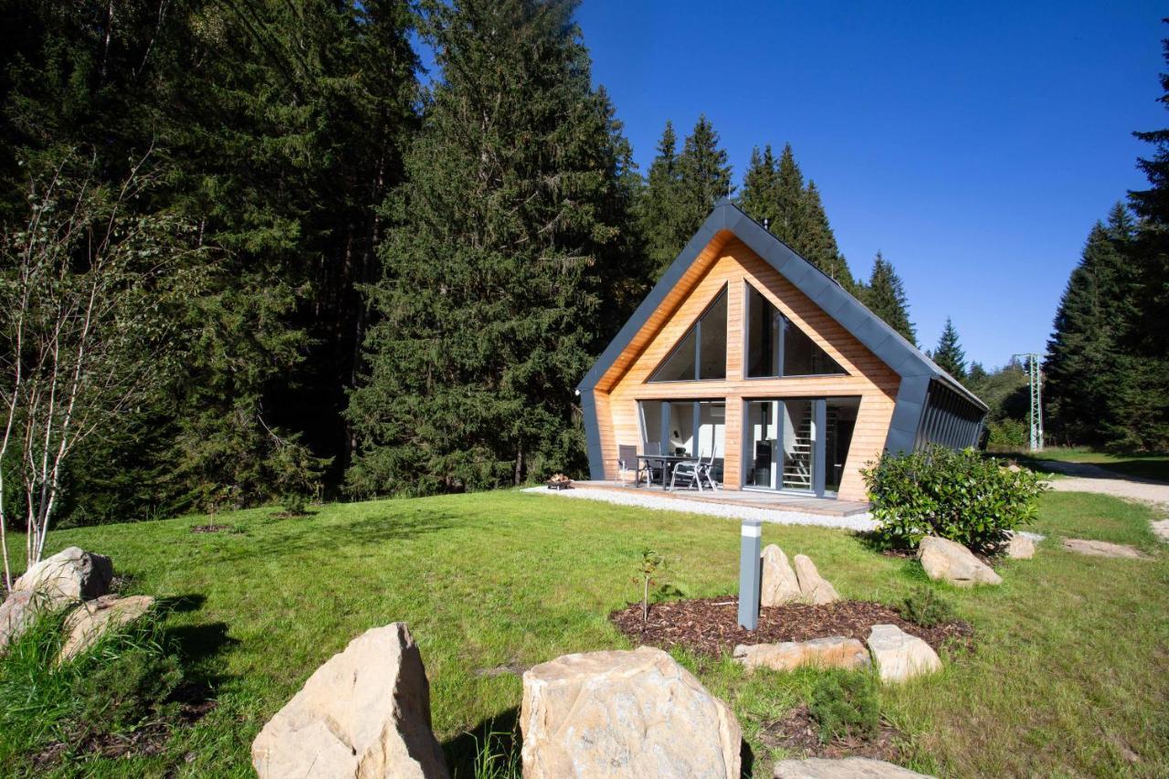 Chalet Belveder Zelezna Ruda Martina Exterior foto